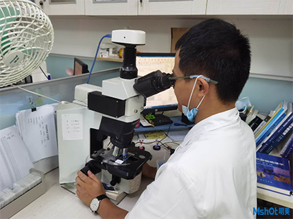 明美顯微鏡熒光模塊助力南昌大學一附屬醫(yī)院免疫熒光觀察